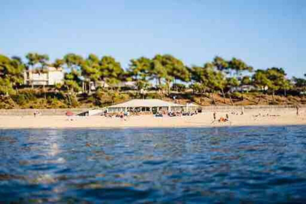 Bel Appartement Bord De Mer 4 Pers Arcachon Centre エクステリア 写真